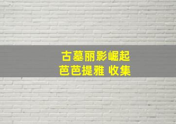 古墓丽影崛起芭芭提雅 收集